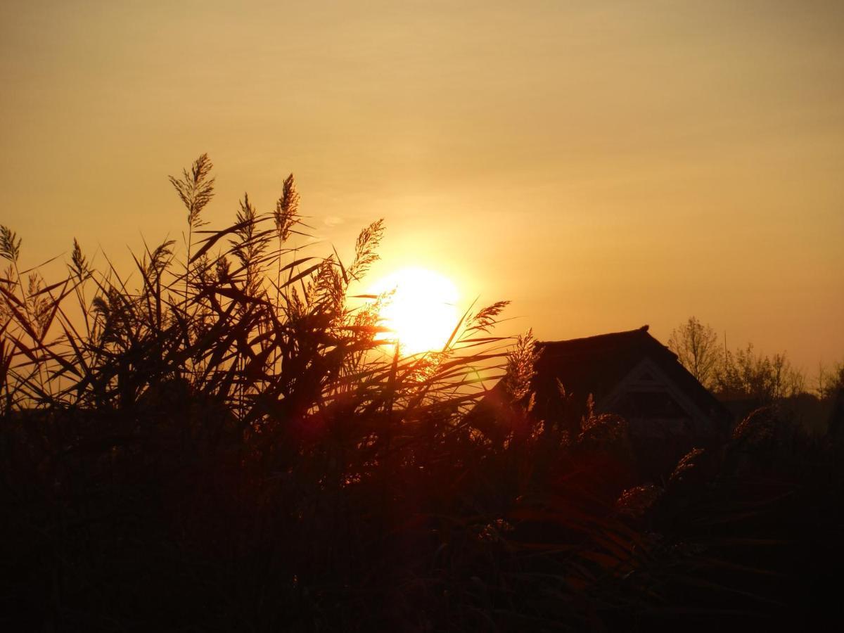 Pfahlbau Sunset I Toplage Elektroboot Inklusive Rust Εξωτερικό φωτογραφία
