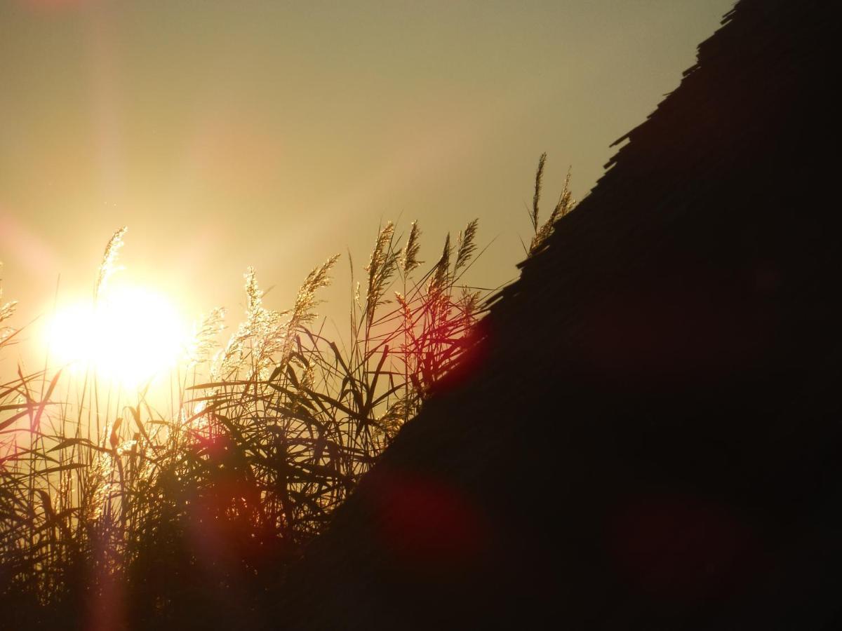 Pfahlbau Sunset I Toplage Elektroboot Inklusive Rust Εξωτερικό φωτογραφία