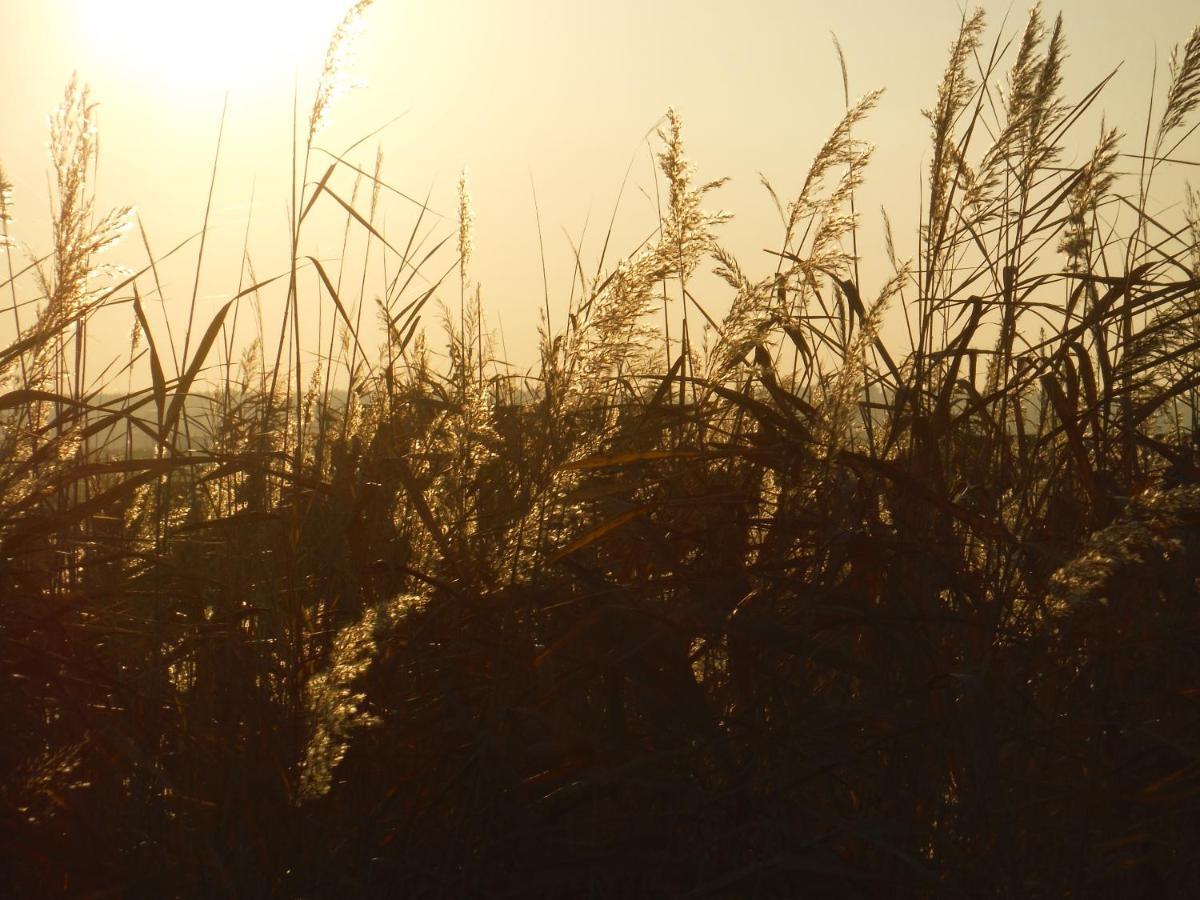 Pfahlbau Sunset I Toplage Elektroboot Inklusive Rust Εξωτερικό φωτογραφία