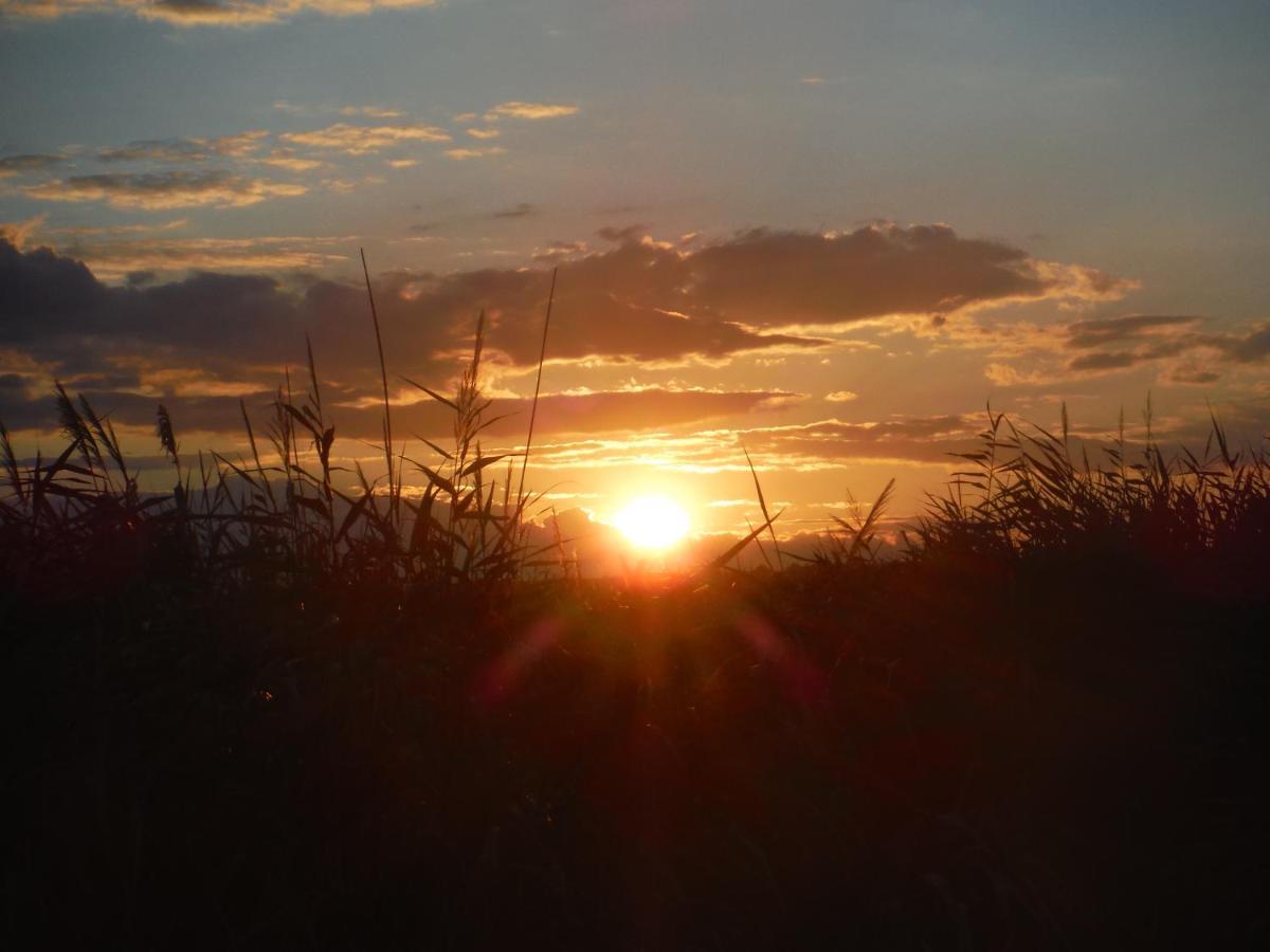 Pfahlbau Sunset I Toplage Elektroboot Inklusive Rust Εξωτερικό φωτογραφία